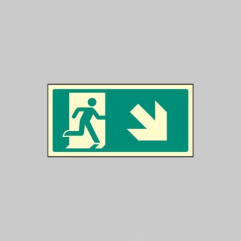 Intermediate Fire Exit Marker - Arrow Down Right - TESTTTTT!!!!! 