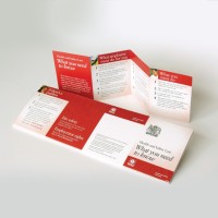 Law - Poster Pocket Guide (Pack of 25) - TESTTTTT!!!!! Law - Poster Pocket Guide (Pack of 25) - TESTTTTT!!!!!