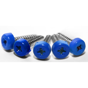 Blue Poly Top Screws (Pack 12) - TESTTTTT!!!!! 